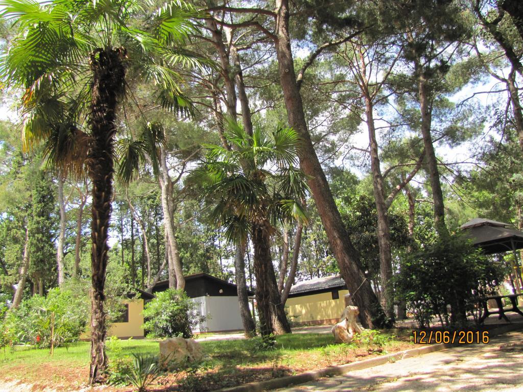 Holiday Park Mimoza Basanija Exterior photo